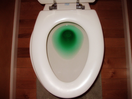 http://thecreativejunkie.com/wp-content/uploads/2009/03/leprechaun-toilet-water.jpg