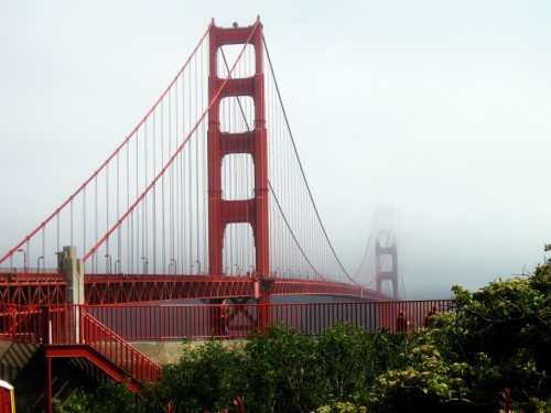 golden gate bridge fog. But the ridge is prettier.