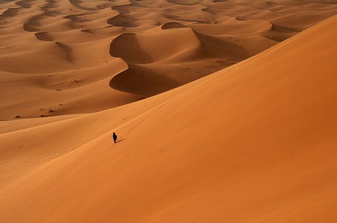 sahara_desert_alone